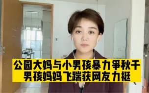 一个秋千引发的争斗