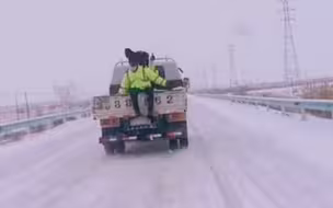 新疆迎今冬第一场雪 交警蜀黍撒盐融雪 左一下右一下画面莫名可爱
