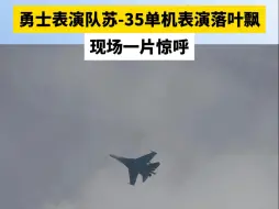 勇士表演队苏-35单机表演落叶飘，现场一片惊呼#2024珠海航展