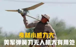 身材小威力大！美军弹簧刀无人机威力不如手榴弹，却能摧毁坦克