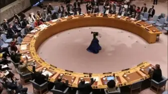 中美俄均投下赞成票，联合国安理会通过涉乌决议