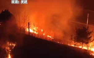 韩国山林大火持续蔓延  首次面向全国发布 最高级别火险预警
