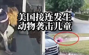 小浣熊、郊狼......美国频发动物袭人事件