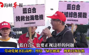 台湾劳动党疾呼：“蓝白合”终结“绿色独裁”，挽救台海危机