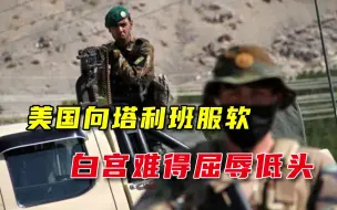 中方一通“教训”后，美国向塔利班开出条件，白宫就此低头？