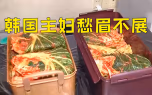 韩国腌20棵泡菜成本近2000元 韩主妇们愁眉不展！