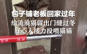 包子铺老板回家过年，给流浪猫留出门缝过冬。好心人接力投喂猫猫