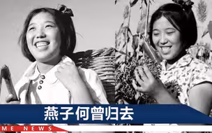 不拿国家工资的书记去世，儿媳回忆最后一刻：儿孙在侧，她很安详