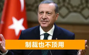发现土俄走得越来越近，美国开始紧张了：又制裁了4名土耳其官员