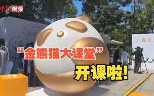 “金熊猫大课堂”开课啦！