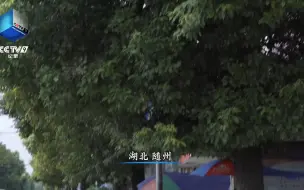 3000年前的中国就有一钟双音的乐器了