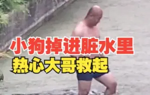 小狗被困水中痛苦挣扎，热心大哥跳水救起