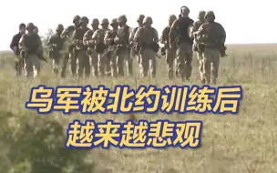 北约对乌军的训练形同纸上谈兵 4周培育出“精锐之师”
