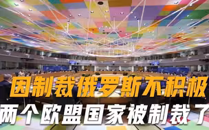这就是不听话的下场两个欧盟国家拒绝制裁俄罗斯，惨遭美国报复