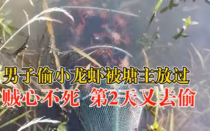 男子偷小龙虾被塘主放过第2天又去偷，塘主忍无可忍直接报警