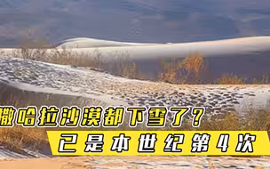 南北极冰川融化，撒哈拉沙漠下雪，全球气候究竟是变暖还是变冷