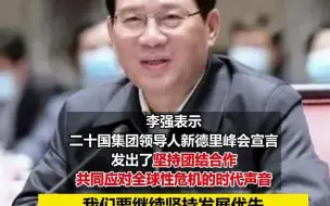 李强出席二十国集团领导人视频峰会并发表讲话