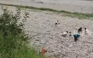 北京一河道内出现碎金，引发附近居民前往淘金？北京房山警方通报