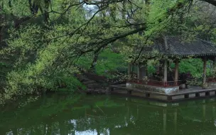 这大概是中国人才懂的意境吧