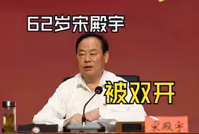 62岁宋殿宇，被双开
