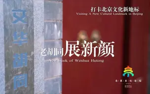 《聚焦全国文化中心建设》系列短视频：老胡同展新颜