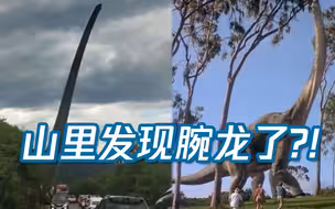 穿越侏罗纪？工程车运送风力发电机 数十米扇叶直立如腕龙再现