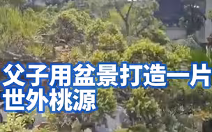 守护非遗：方寸之间有天地！父子用盆景打造一片世外桃源