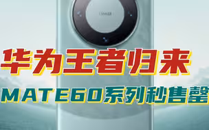 半年净利润465.23 亿，Mate60 系列发售秒罄，华为能否王者归来?
