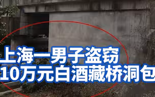 专偷茅台五粮液！上海一男子盗窃10万元白酒藏桥洞