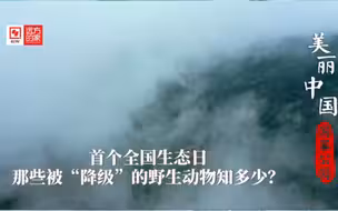 2023年8月15日，首个全国生态日，盘点一下喜提“降级”的野生动物。#绘就美丽中国新画卷 #全国广电新媒体集结发光 #美丽中国远方的家