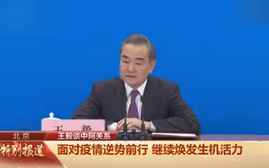 王毅引用阿拉伯谚语：友谊是树，忠实为根，亲善为枝