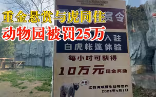 重金悬赏与虎同住动物园被罚25万