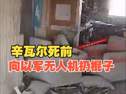 最后时刻画面 哈马斯领导人辛瓦尔死前向以军无人机投掷棍子