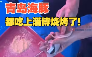 是谁眼红了我不说！青岛海豚的淄博烧烤安排上了！