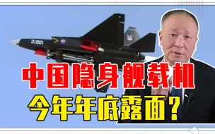 中国隐身舰载机，今年年底露面？总师透露的信息，让国人翘首以盼