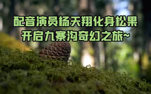 一颗松果的九寨沟旅行记