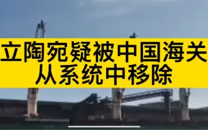 风声鹤唳！立媒炒作：立陶宛疑被中国海关从系统中移除，货物无法在华清关