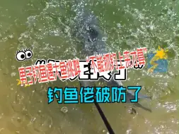 男子钓鱼遇大鱼挑衅 “不能抓 钓上来才算” 钓鱼佬破防了