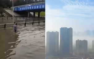 实拍暴雨后的沈阳：金鱼游上人行道市民上街捞鱼 雾气弥漫秒变仙境