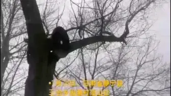应急广播村村响，危难时刻显身手（十四）