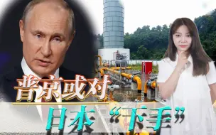 想和普京掰手腕？岸田文雄还嫩了点，一招能源牌让日本翻不过来身