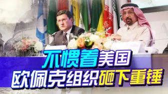 欧佩克砸下一记重锤，没再惯着美国，两个噩耗，拜登只能自吞苦果