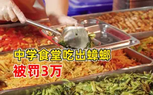 中学食堂吃出蟑螂被罚3万