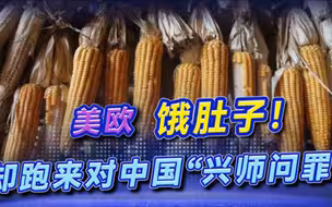 美欧饿肚子！外媒却跑来“围攻”中国，呼吁中方打开粮仓