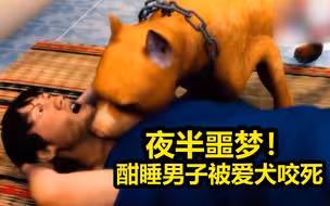 泰国一男子与比特犬同床酣睡，半夜被狗疯狂咬住脖子致死