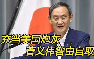 日本对中俄发起疯狂挑衅，美国高兴了，但菅义伟后院起火
