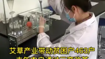 榆中县北部山区力争3年推广种植高原艾草1万亩