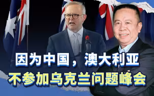 因为中国，澳大利亚领导人不出席和平峰会，泽连斯基又遭挫折