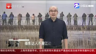 摄影达人齐聚江边  定格江豚最美瞬间