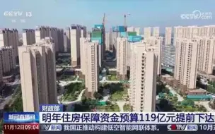 财政部：2025年住房保障资金预算119亿元提前下达